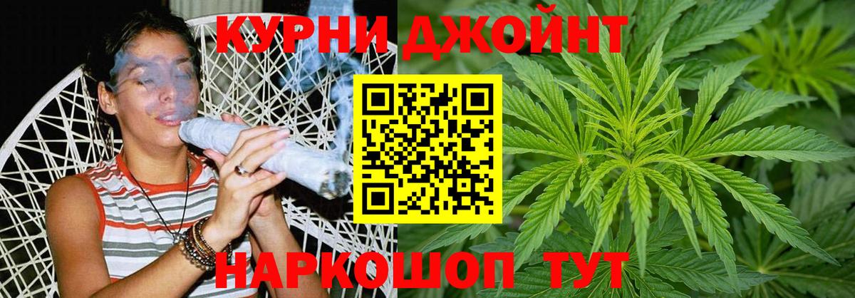 Каннабис сатива Люберцы